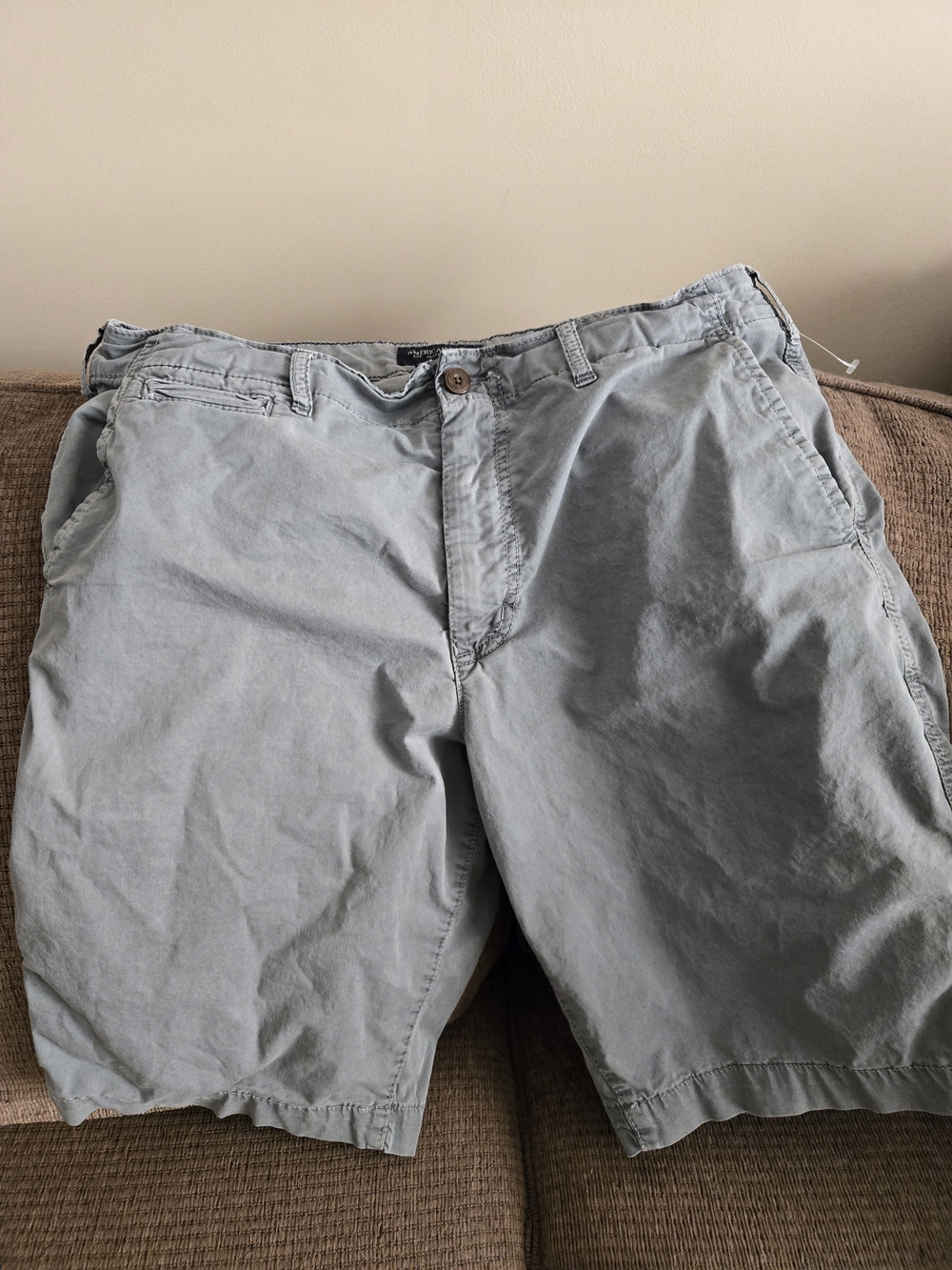 American Eagle Outfitters Pale Gray Flat Front Shorts